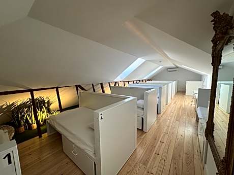 Single Bed in Female Dormitory Room