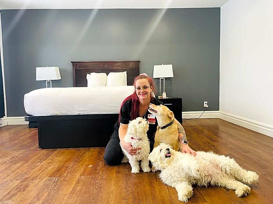 Econo Lodge Brossard