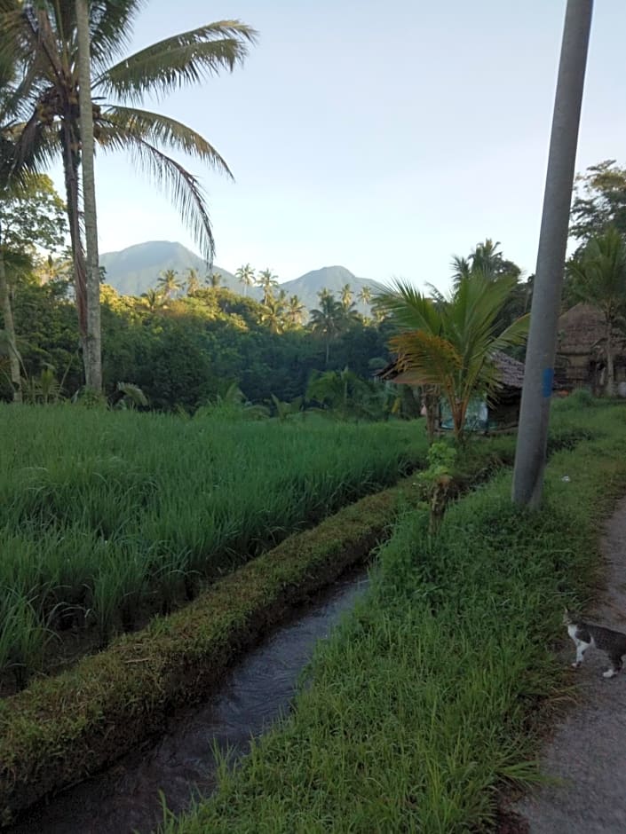 Babahan Farmstay