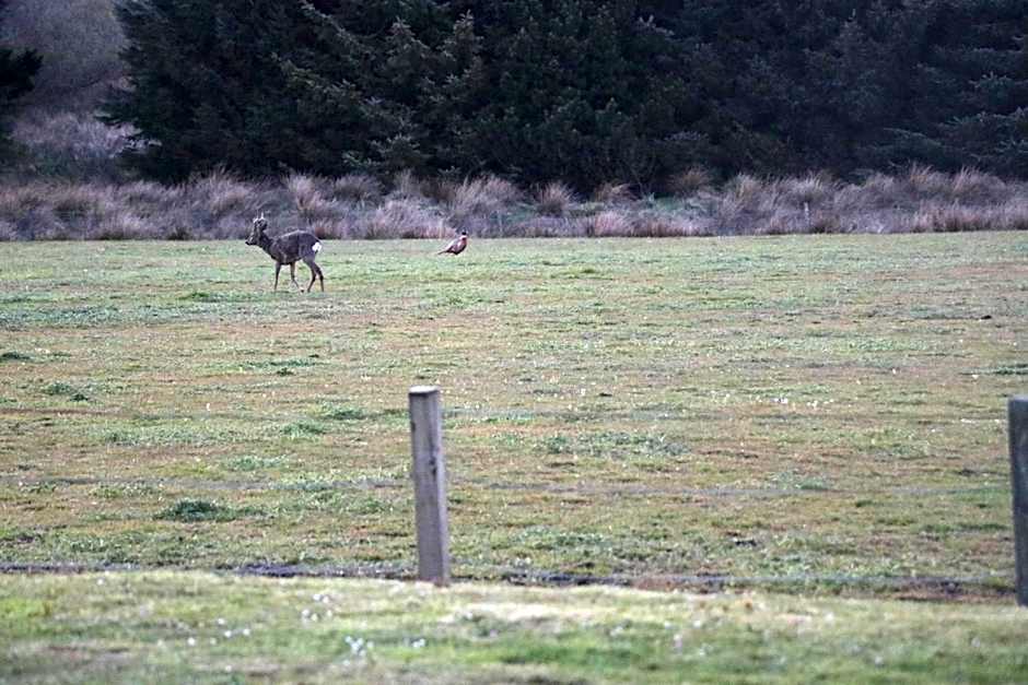 Blairmains Guest House
