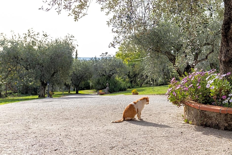 La Tana delle Stelle B&B di Charme e Relax