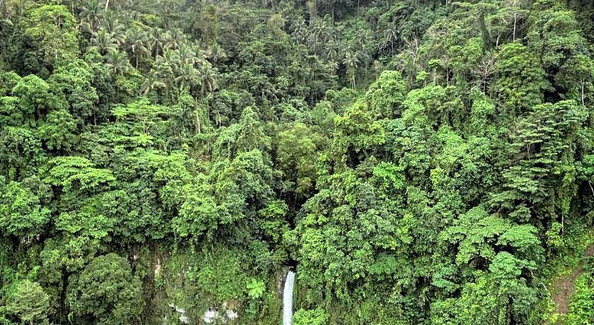 Happy Coconut Camiguin