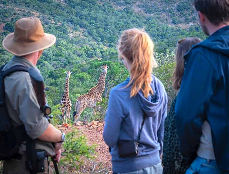 Addo Elephant Safari Lodge - Bellevue Forest Reserve
