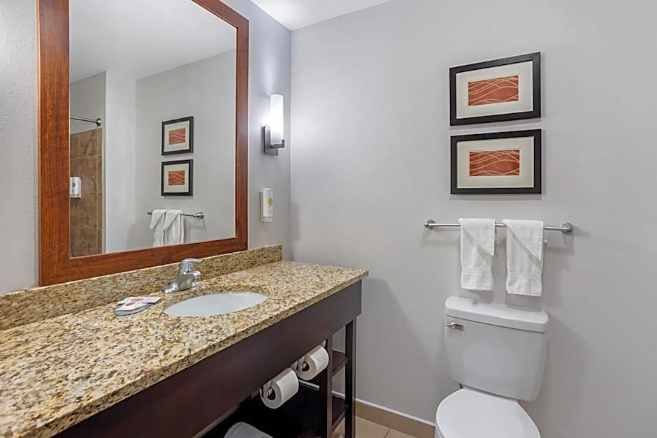 Comfort Inn & Suites Sayre