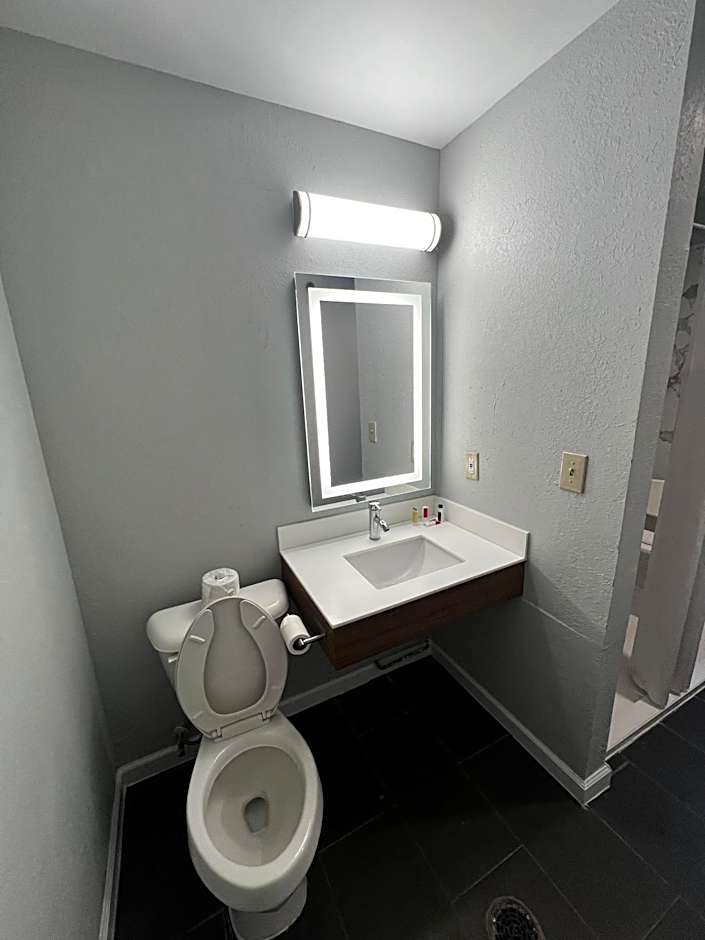 Microtel Inn & Suites by Wyndham Atlanta Airport