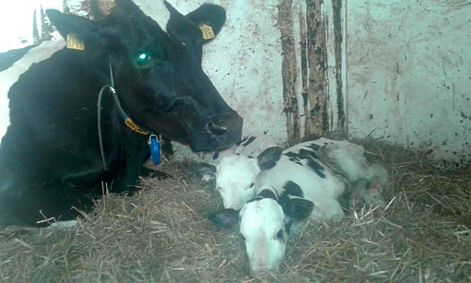 Bed & Breakfast ARKEN AE