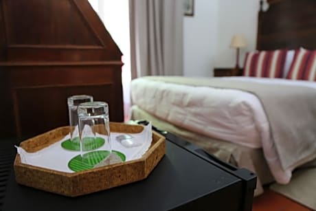 Standard Twin Room with Mountain View