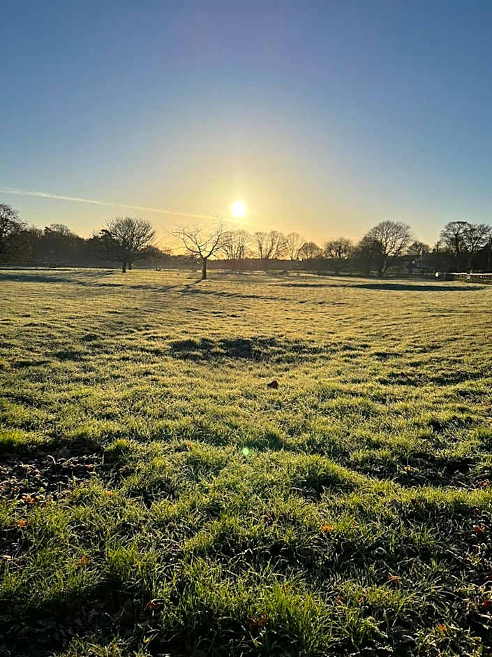 The Three Blackbirds