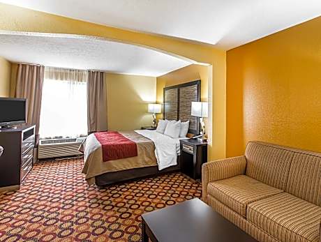 1 King Bed, Nonsmoking