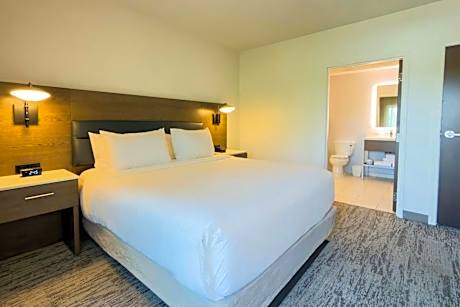 King Suite with Sofa Bed and Balcony - Concierge Level