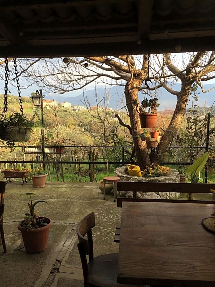 B&B La Vigna Di Mario