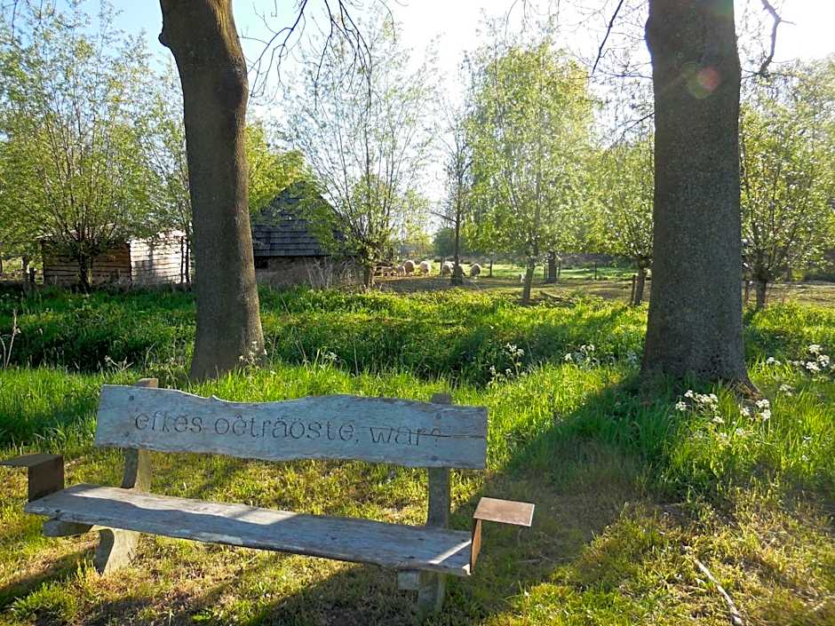 B & B " De 7 Sprong "