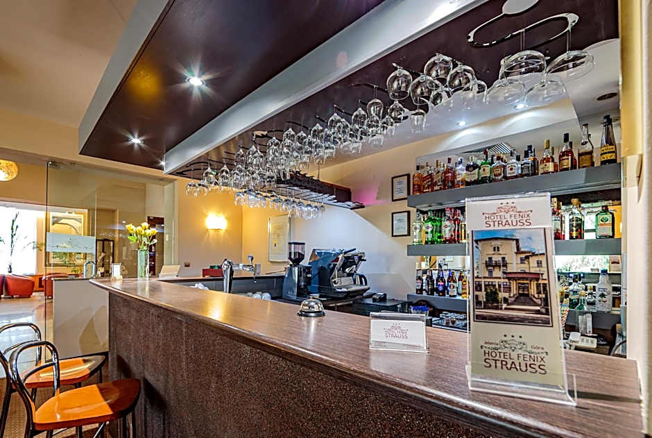 Hotel Fenix