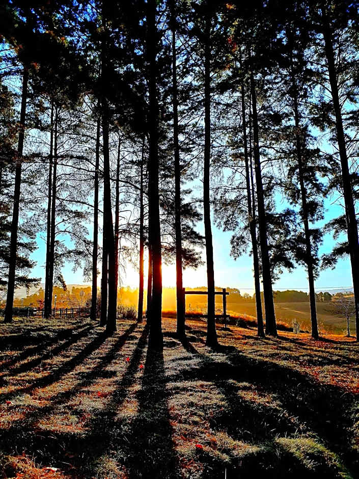 Granny Mouse Country House & Spa