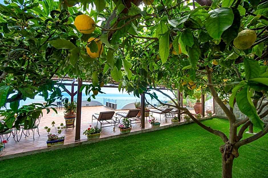 Il Giardino Dei Limoni
