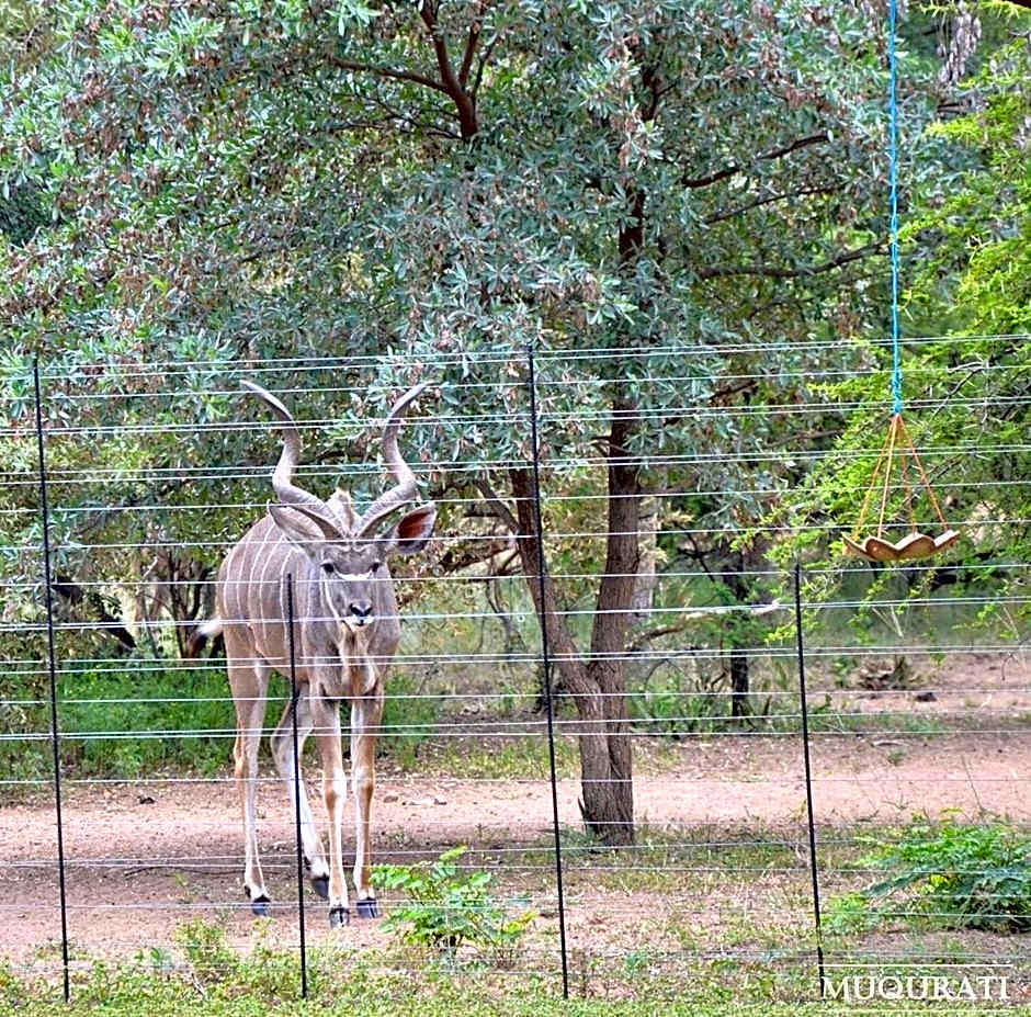 Muqurati Lodge - Dinokeng Game Reserve