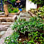 Amed Romance House