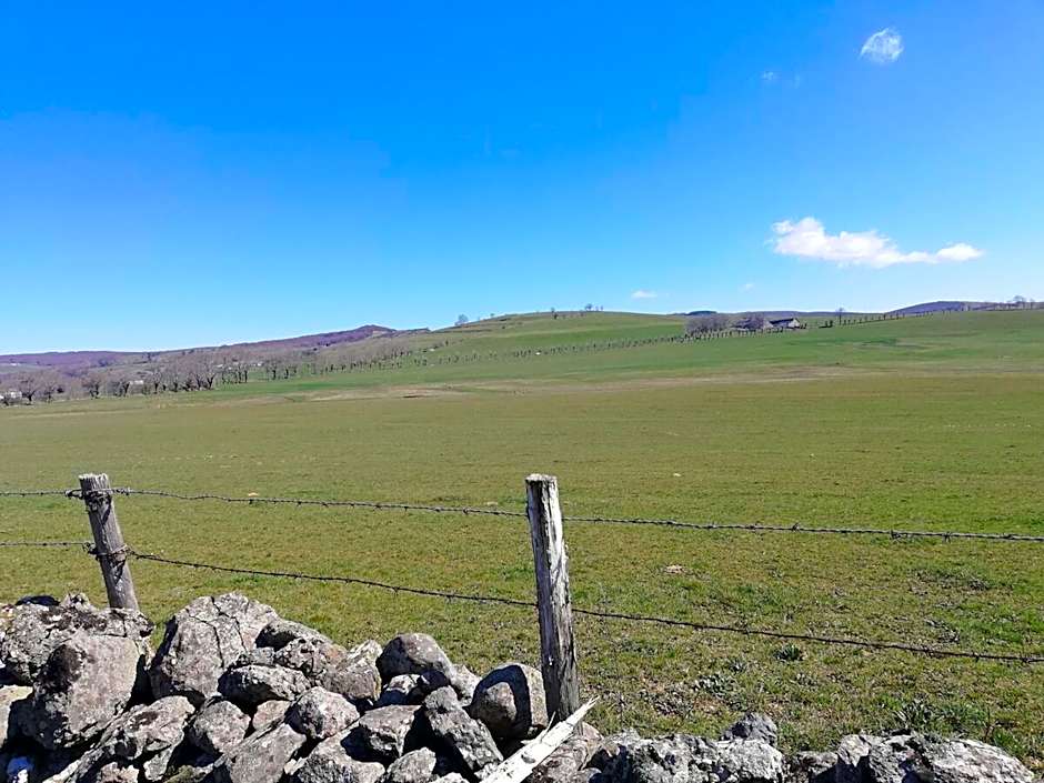 Best Western Le Relais de Laguiole Hotel & Spa