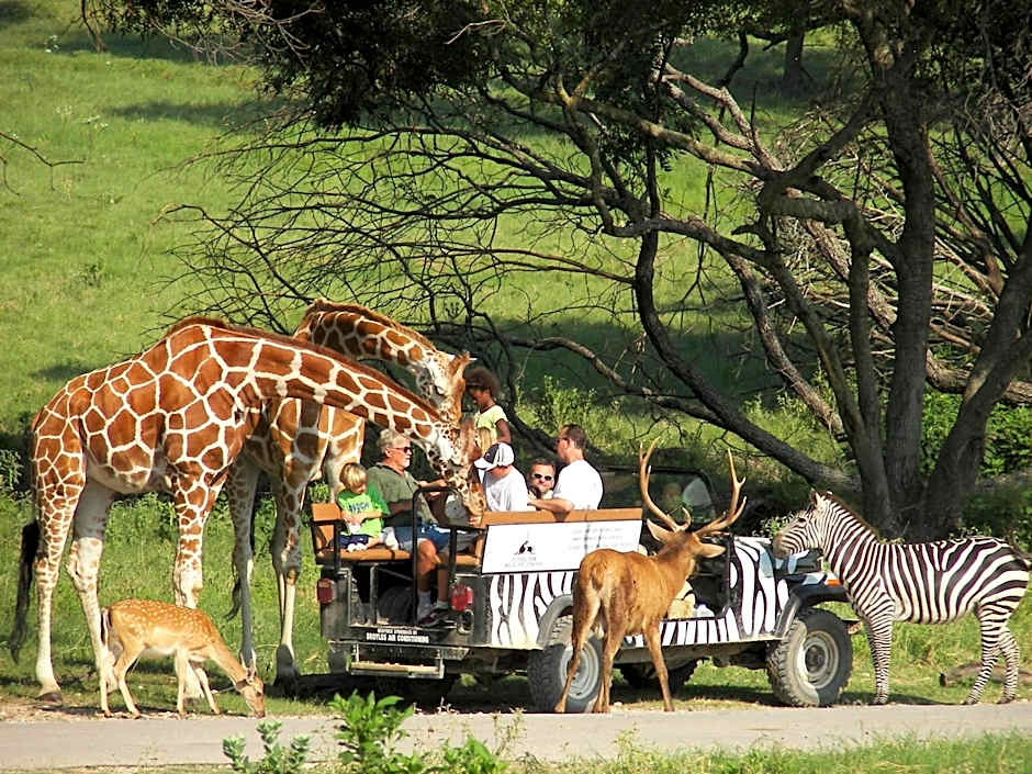 Holiday Inn Express Glen Rose By IHG