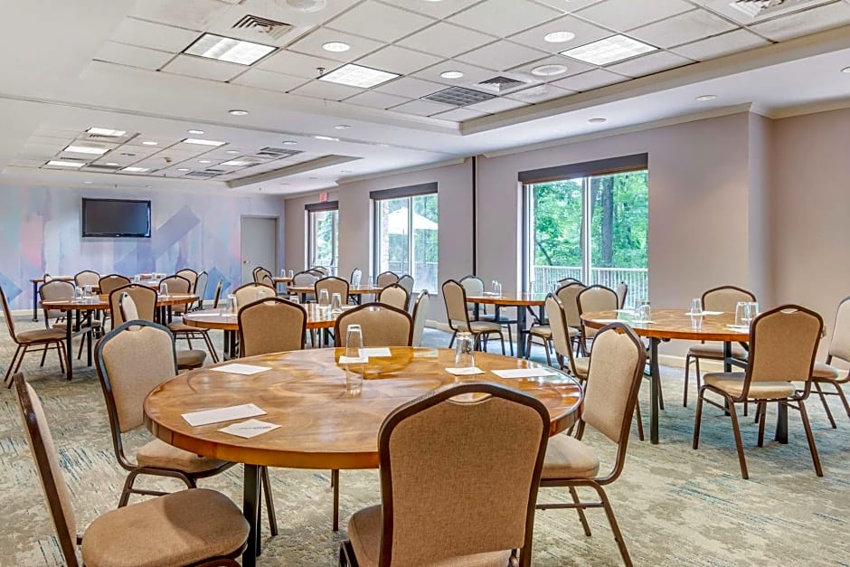 Hilton Garden Inn Atlanta Ne/Gwinnett Sugarloaf