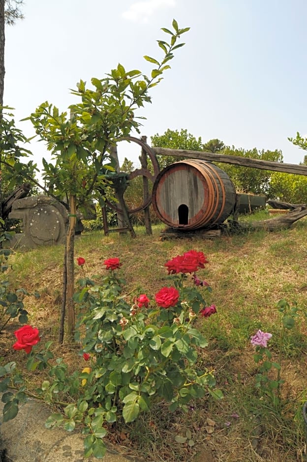 Hotel Archimede
