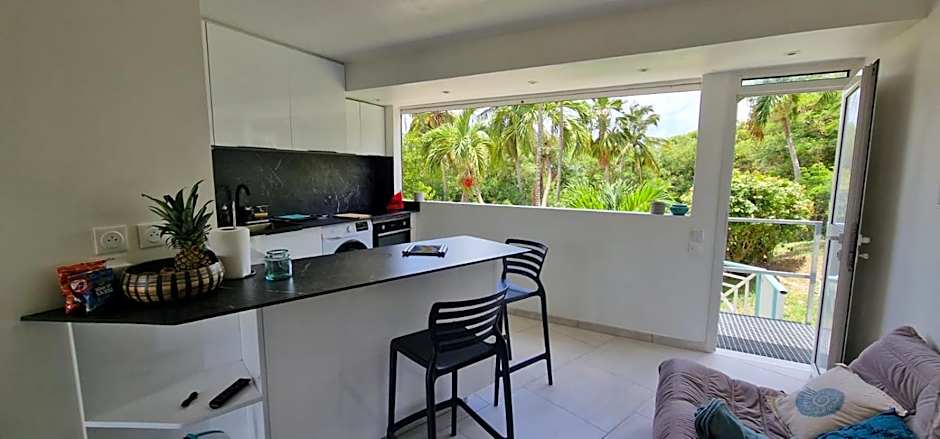 Sud Madinina - Sainte Anne