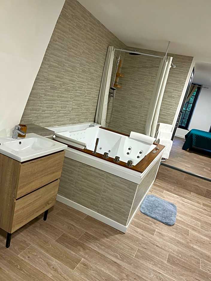Magnifique Loft 35m2 Jacuzzi RVB NIGHT 1 ÉTABLISSEMENT FERMÉ DEFINITIVEMENT