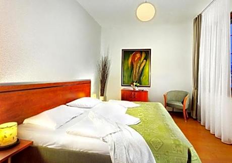 Standard Double Room with Water park View