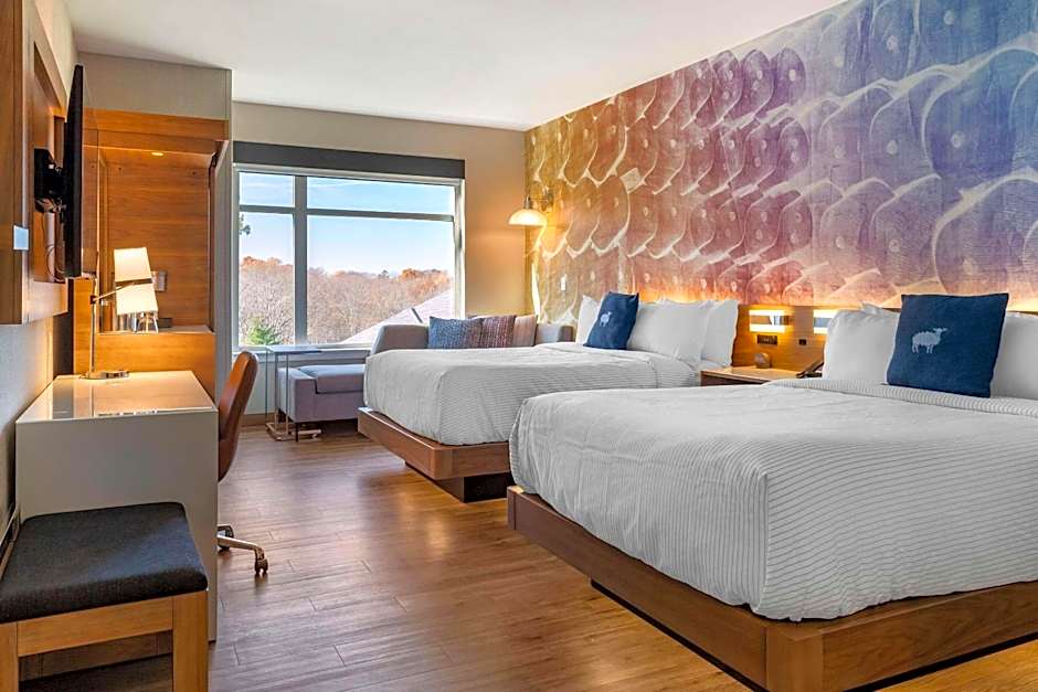 Cambria Hotel Manchester South Windsor