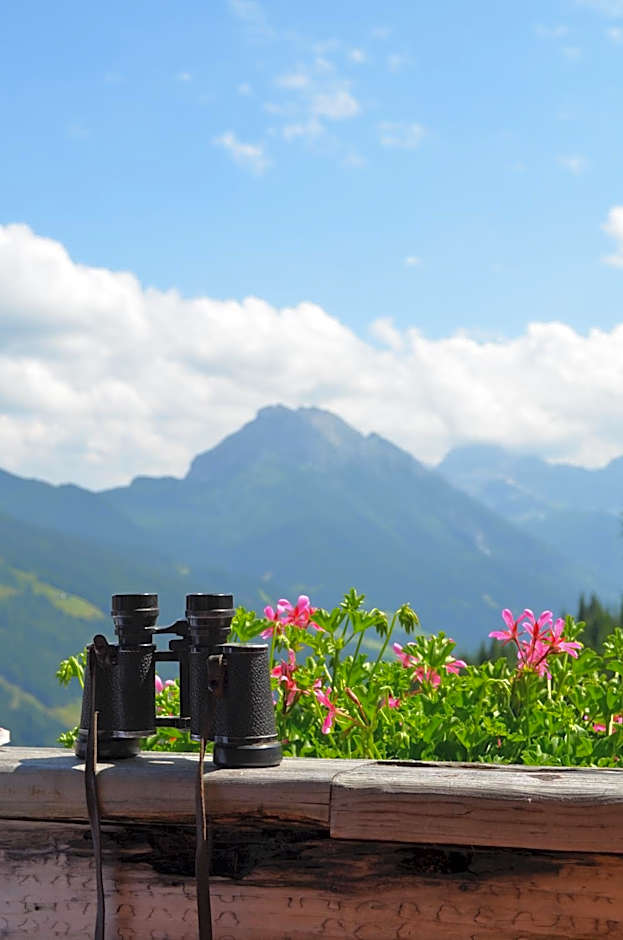 Bergappartements Pröll