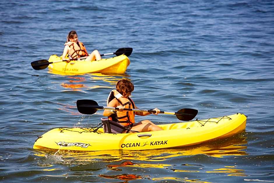 Las Palmas By The Sea