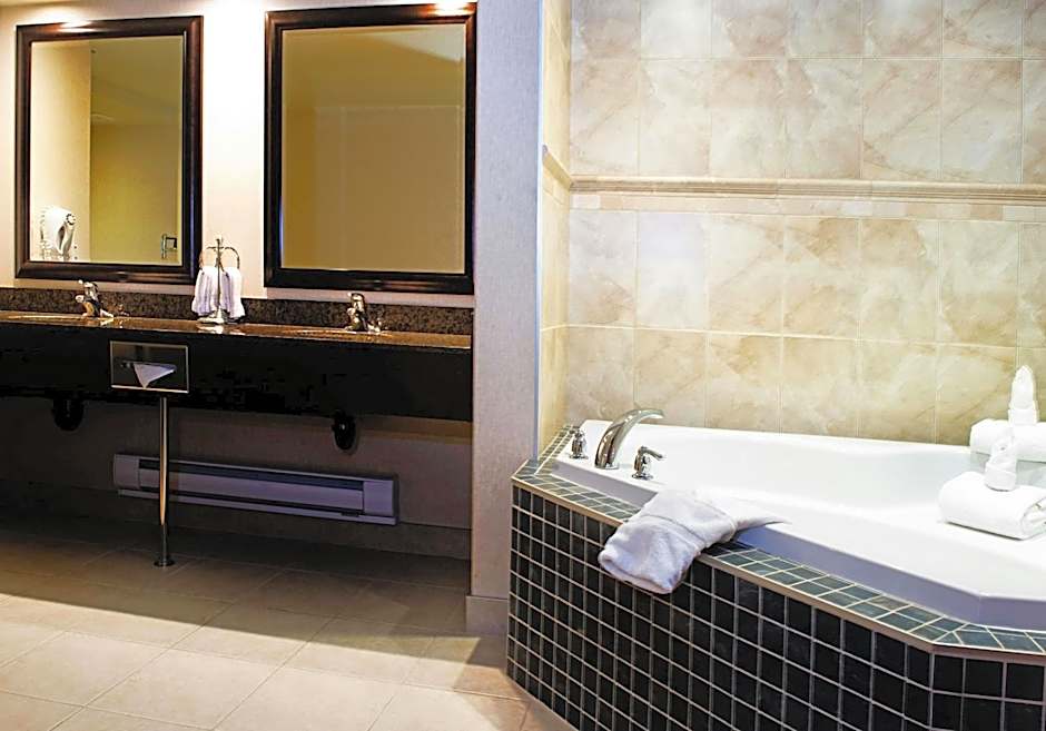 Holiday Inn Hotel & Suites-West Edmonton By IHG