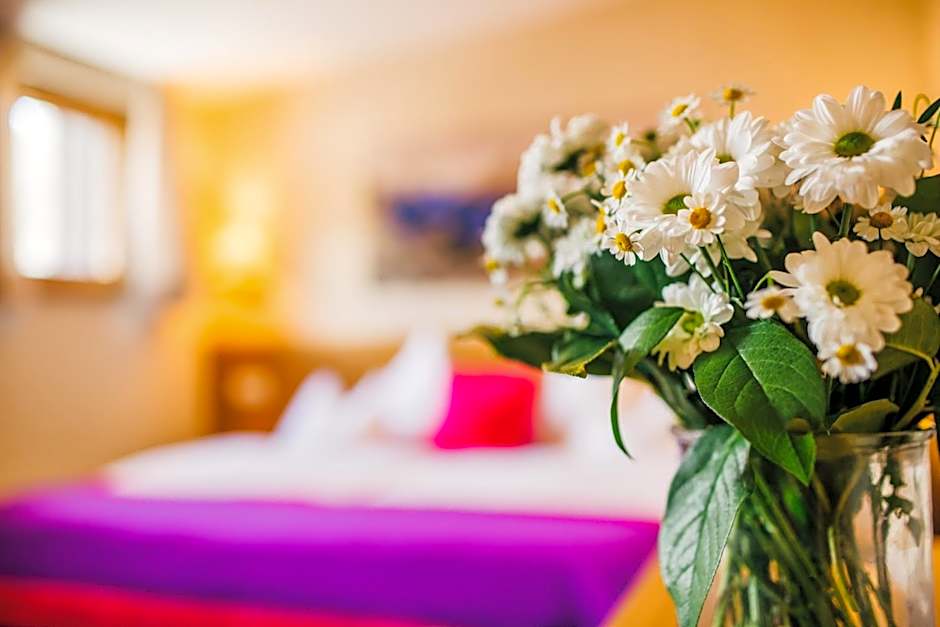 Hotel Dr Otto Murr B&B