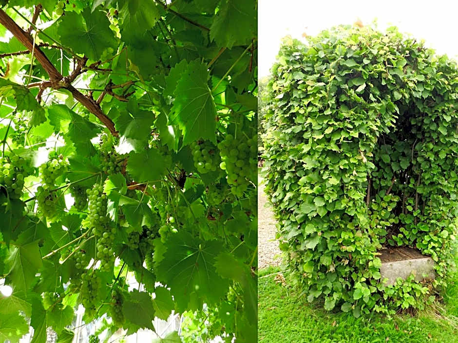 Kenilworth Garden Accomodation