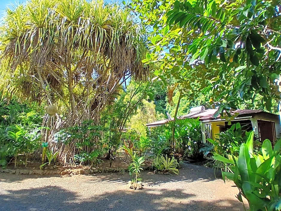 Résidence Les MANGUIERS OTANTIK