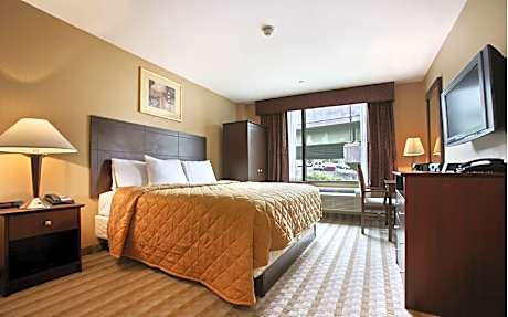 2 Double Beds Non-Smoking