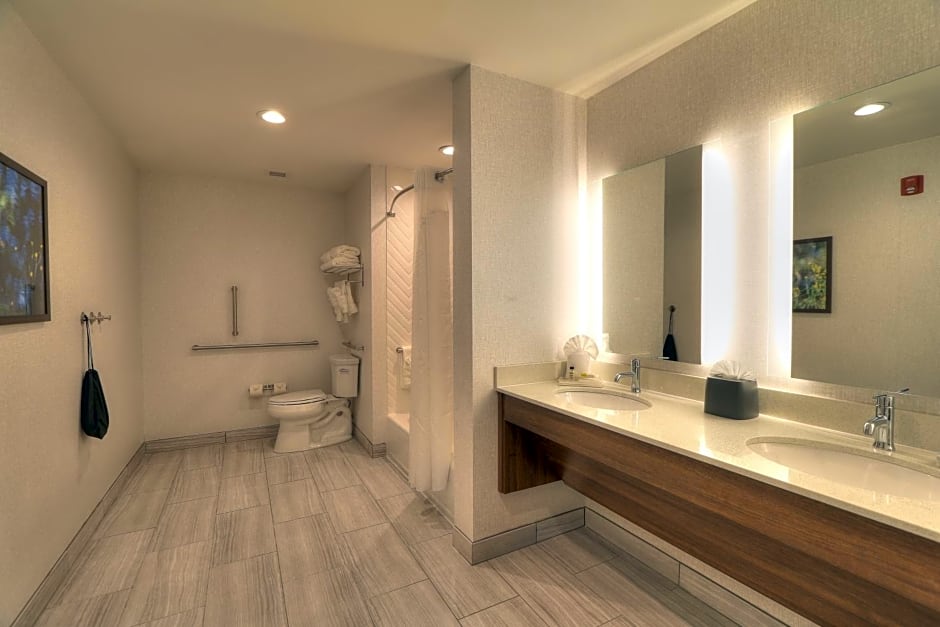 Holiday Inn & Suites Pigeon Forge Convention Center By IHG