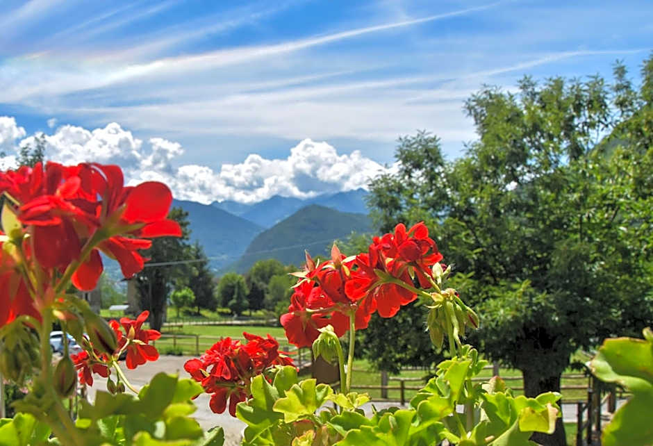 Albergo Ristorante Innocenti
