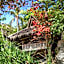 Kookoo's nest eco-lodge
