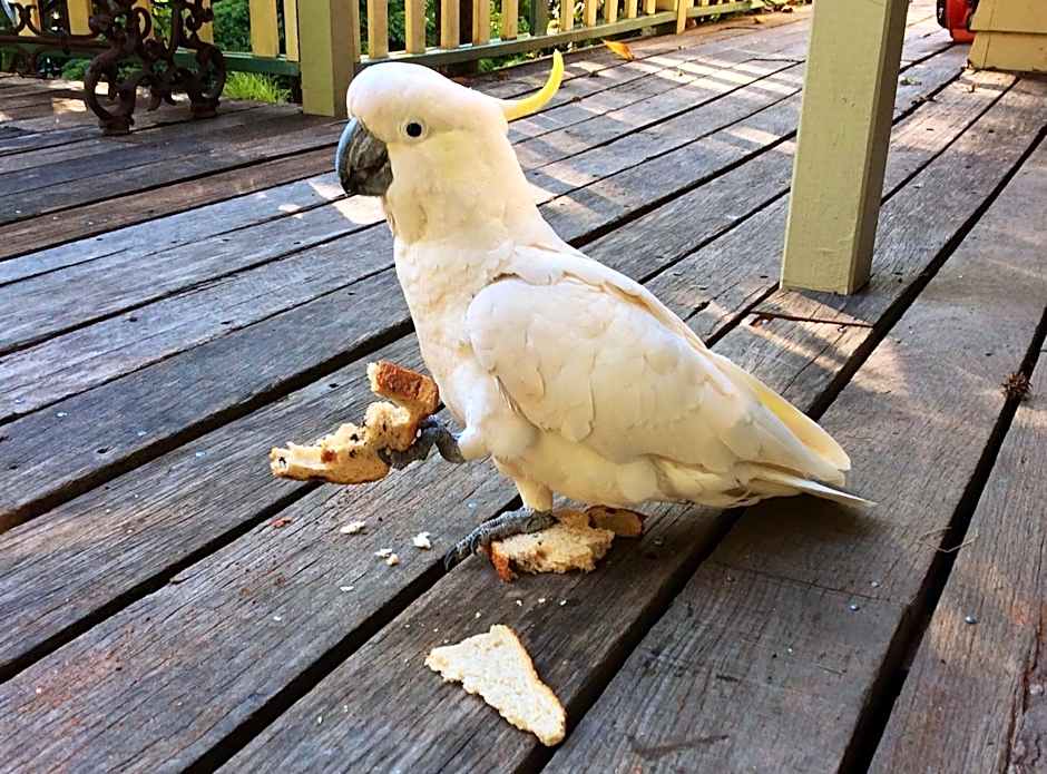 Aldgate Valley Bed and Breakfast