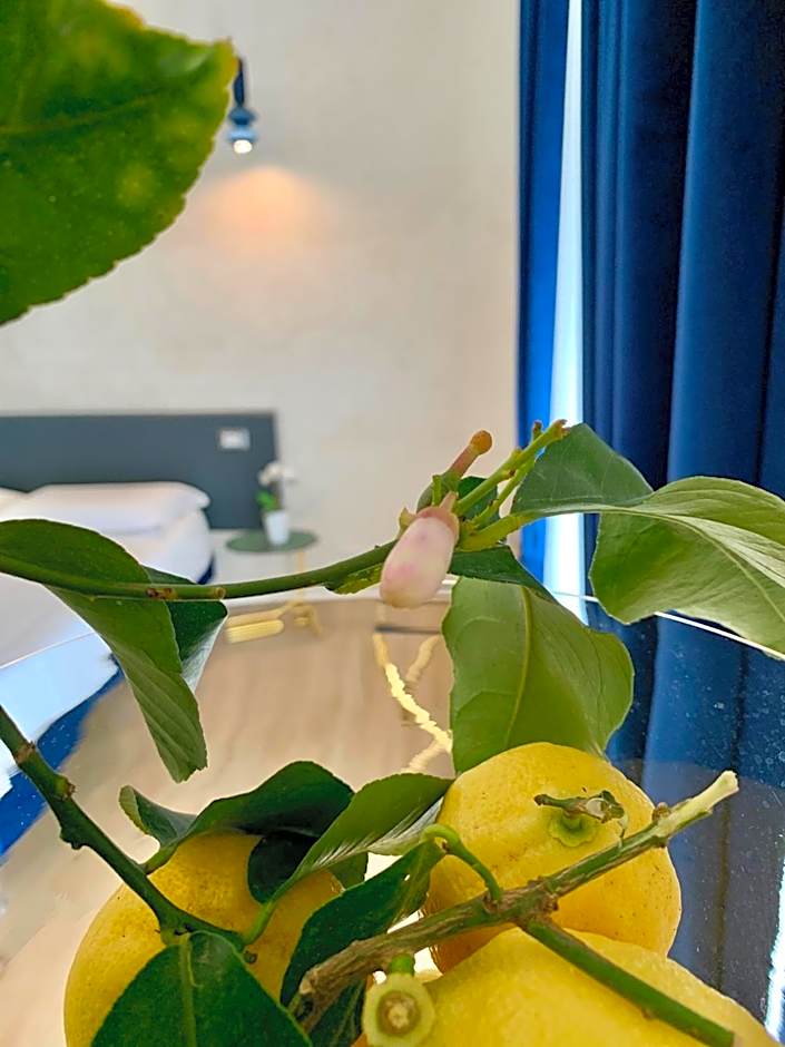 Le Marinelle Aff Trani