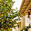 Agali Hotel Paxos