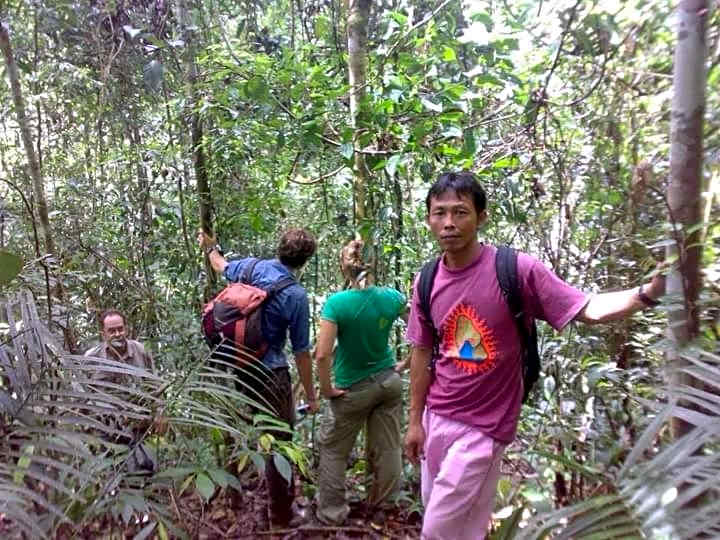 Asim Paris Guesthouse & jungle trekking