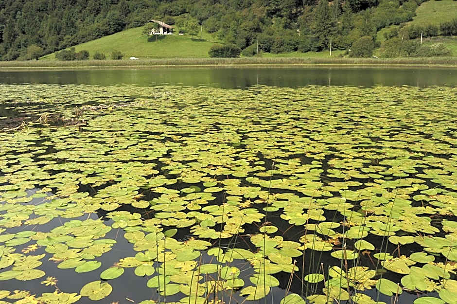 Hotel Garni My Ledro