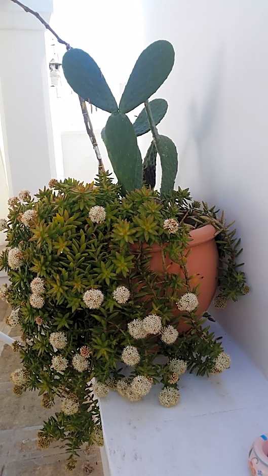 B&B La Porta Vecchia