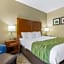Comfort Inn Plover-Stevens Point