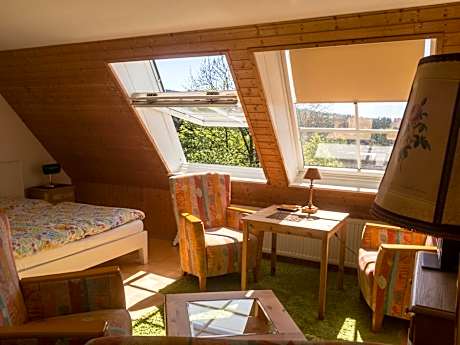 Double Room with Mountain View
