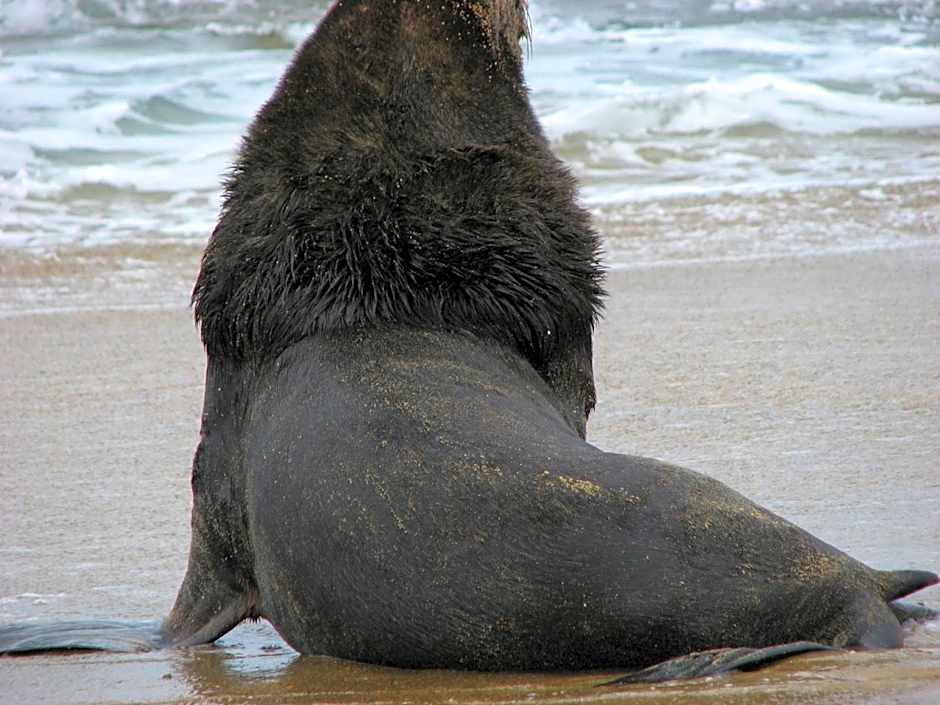 untagged
