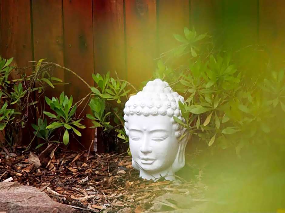 Adventurer's Escape HQ