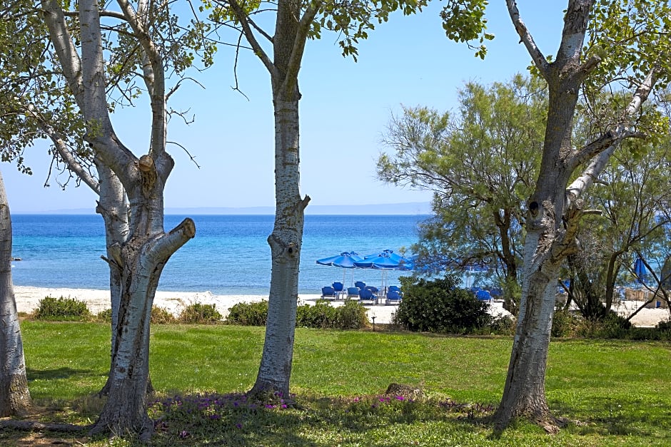 Theophano Imperial Palace